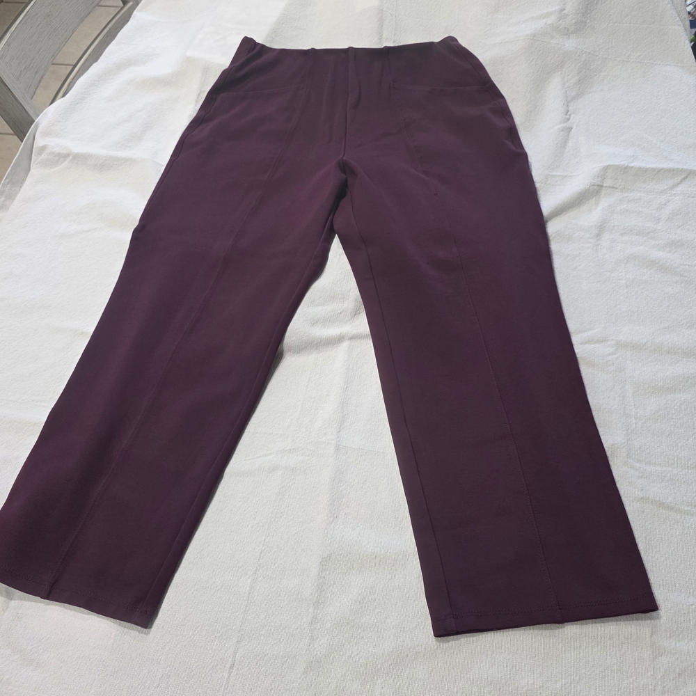 Old Navy Women's Ankle Pants in Rich Plum
